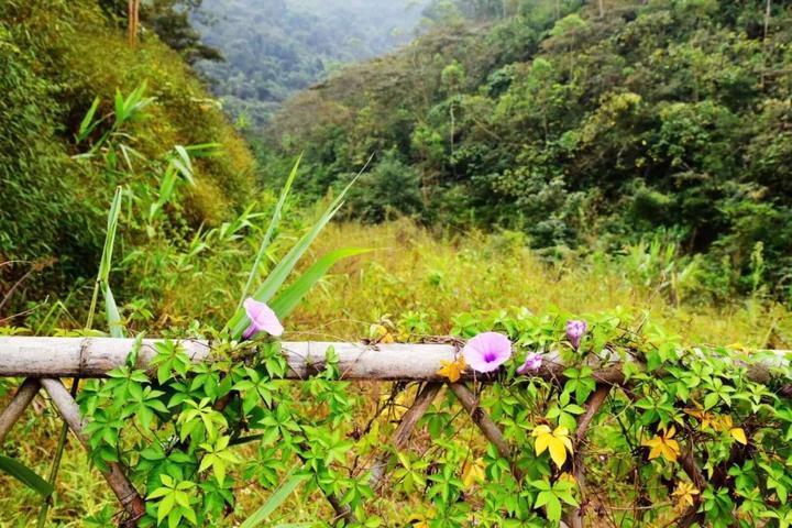 体验九龙洞观光生态民宿,为清远旅游发展点赞