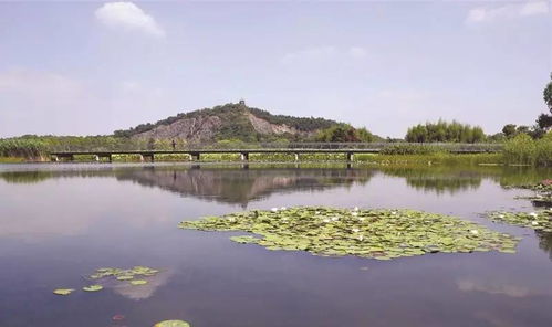 佘山国家旅游度假区规划三大自然山林片区,构建松江九峰生态旅游体系