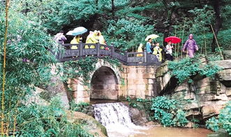 江苏沿海城市依托生态优势发展旅游 促进惠民 生态优势为旅游经济赋能